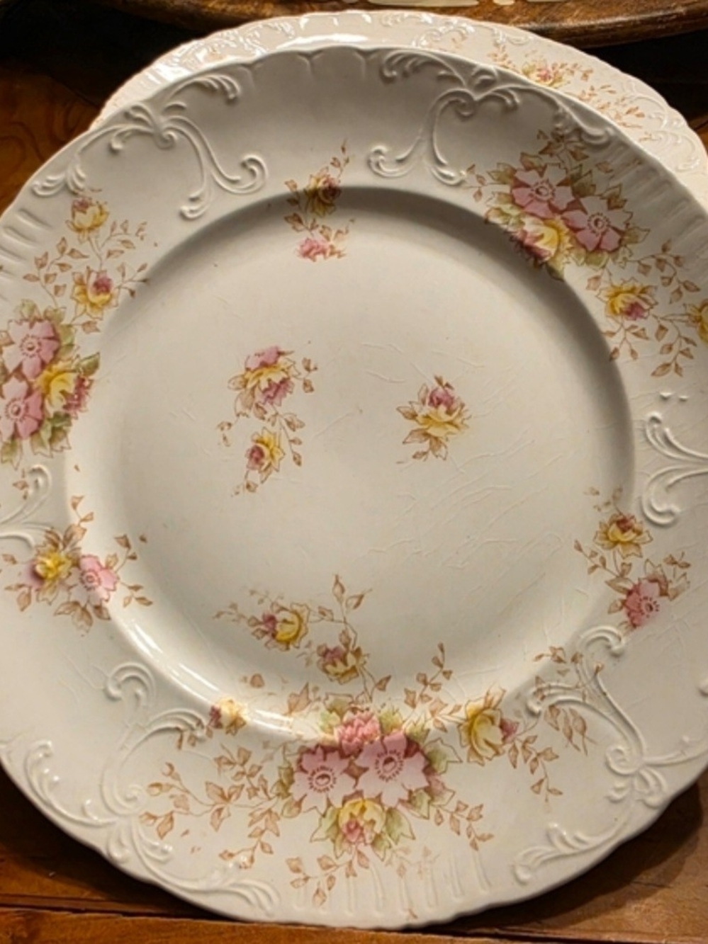 Antique Warwick China USA HAND PAINTED 9" PLATE
